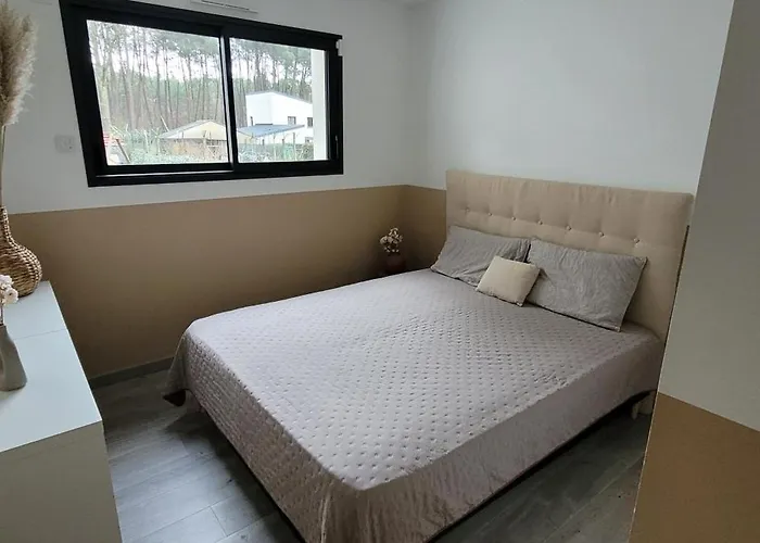 Maison 10 Personnes 24h Du Mans Villa *